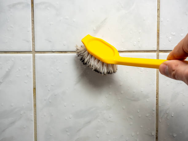 Trusted Grand Blanc, MI Mold Removal Experts