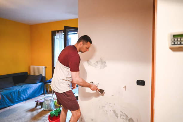 Best Residential Mold Removal  in Grand Blanc, MI